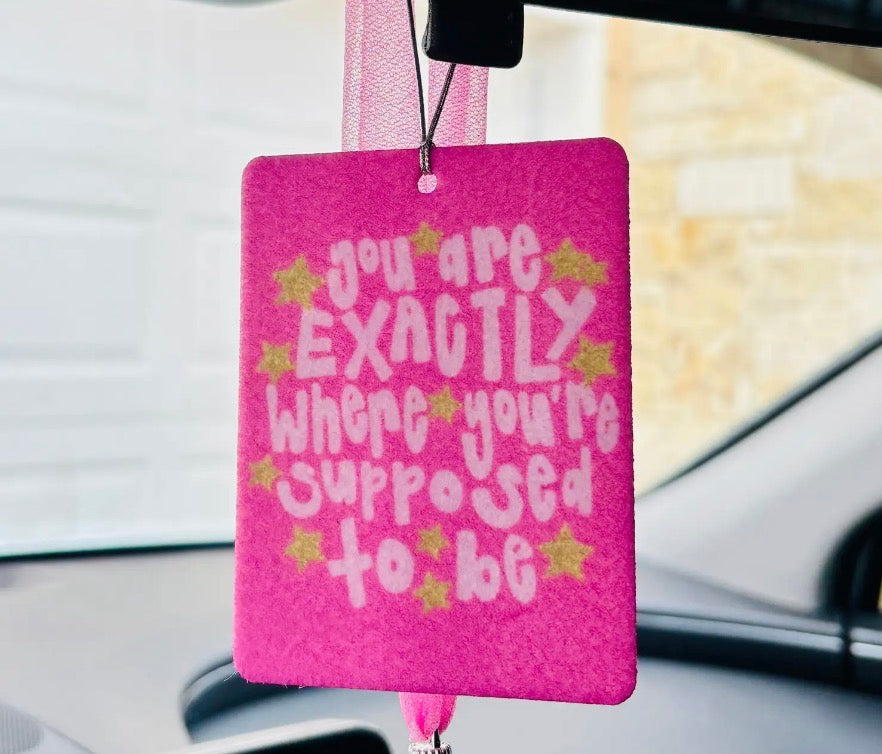 You Are Exactly Car Air Freshener